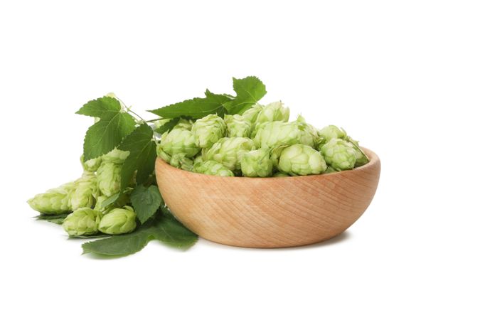 Wooden bowl with hop isolated on light background