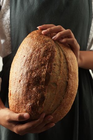 Hand of Baker Holding Freshly Baked Sourdough Country Bread
