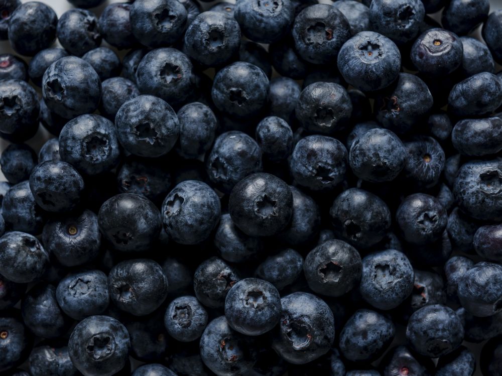 Texture of blueberries, close up flat lay