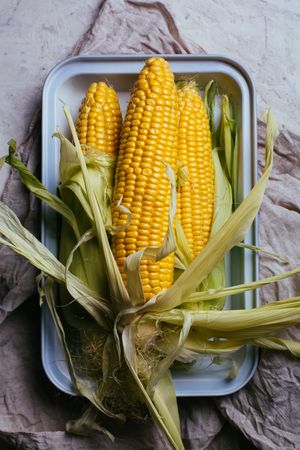 Tray with fresh corn on table