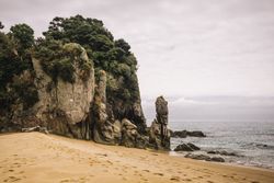 Sandy beach and green forest in Pancake Rocks