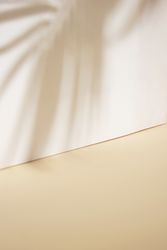 Beige wall with tropical palm tree shadow