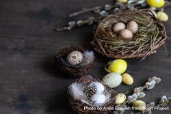 Nest with eggs and pussy willow branches on wooden table with copy space bxAqEj