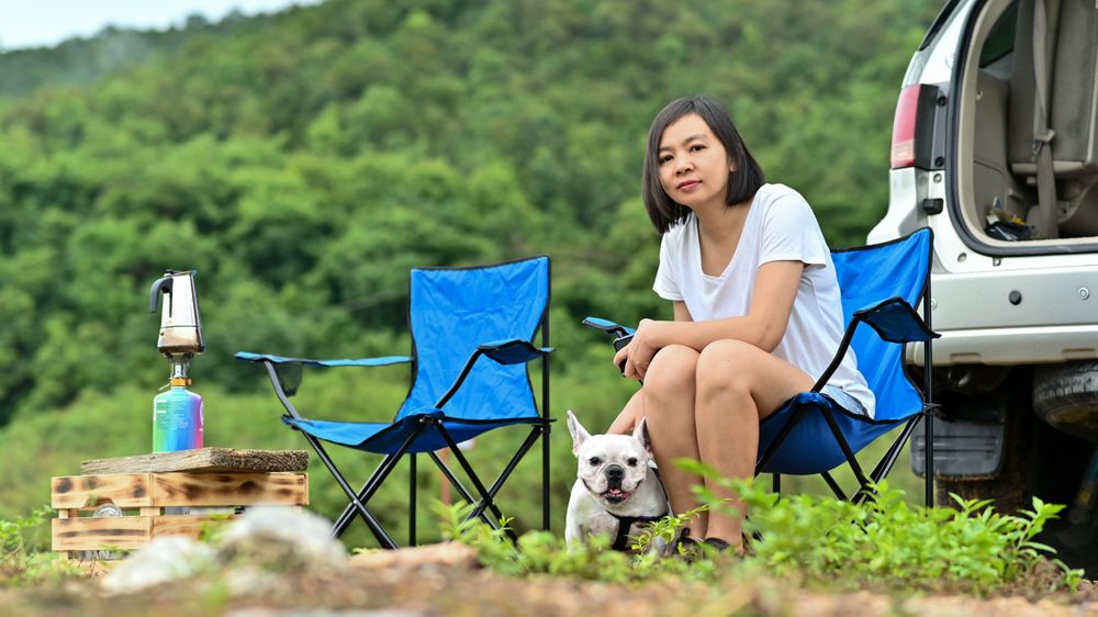 A woman in a t-shirt and a French bulldog is relaxing on a camping chair.