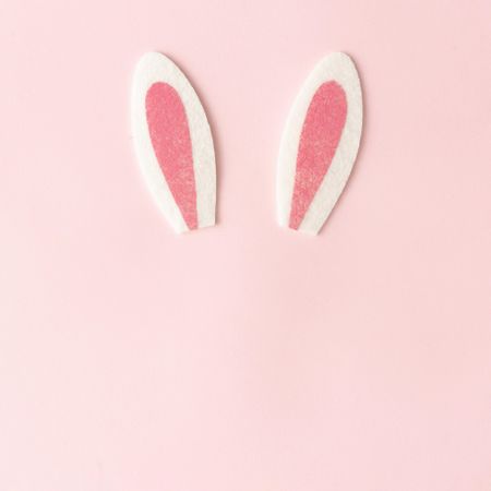 Bunny rabbit ears on pastel pink background