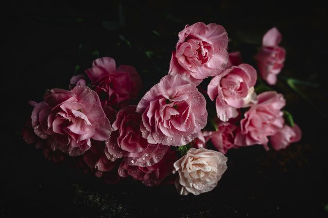 bouquet of pink carnations flowers