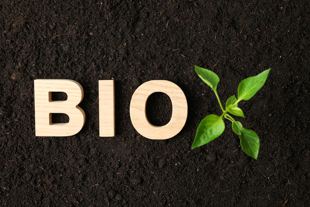 Inscription bio and green sprout in soil, space for text and top view. Environmental protection