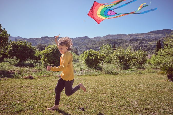 Cheerful boy with kite in nature