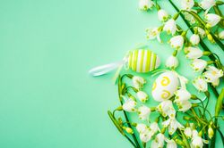 Snowdrops on green background with decorative Easter eggs