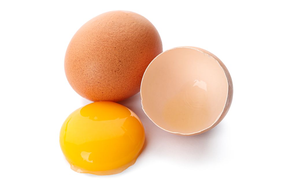 Whole egg, half eggshell and egg yolk isolated on blank background