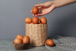 Concept of fresh and natural farm product - eggs