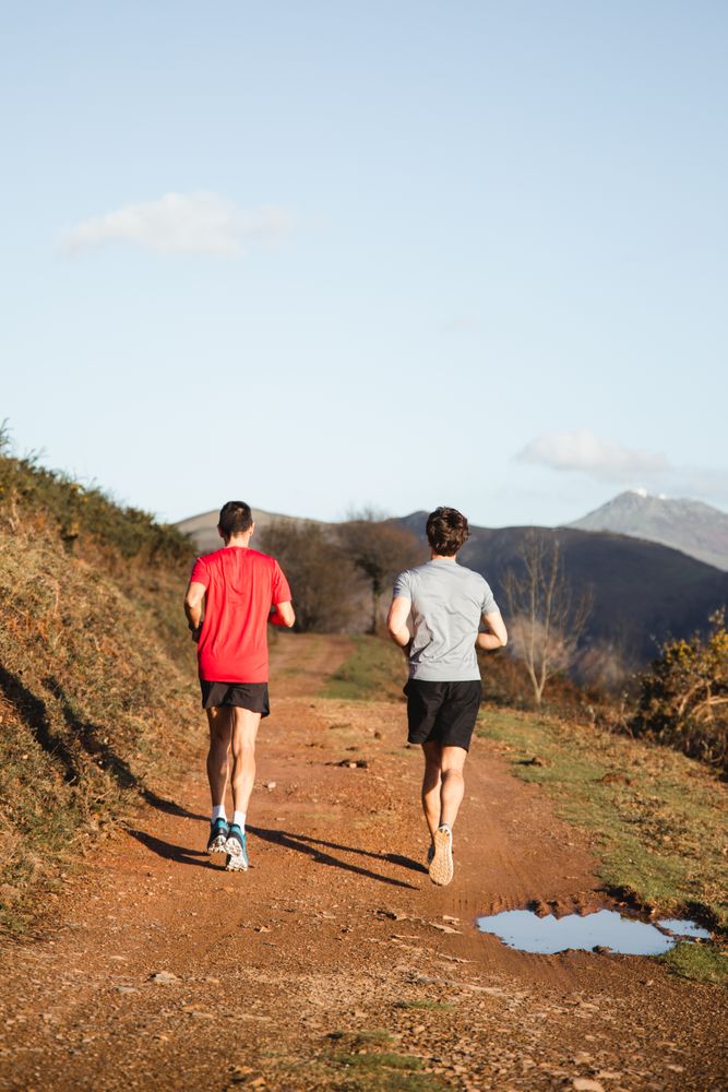 Sportive men running in mountains