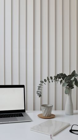Modern Office Desk With Laptop, Plant, and Minimal Accessories