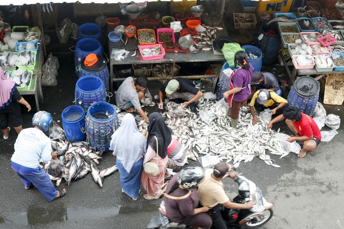 Buyers picking fish in Indonesian street market