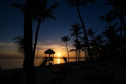 Tropical beach at sunset and palms on shore