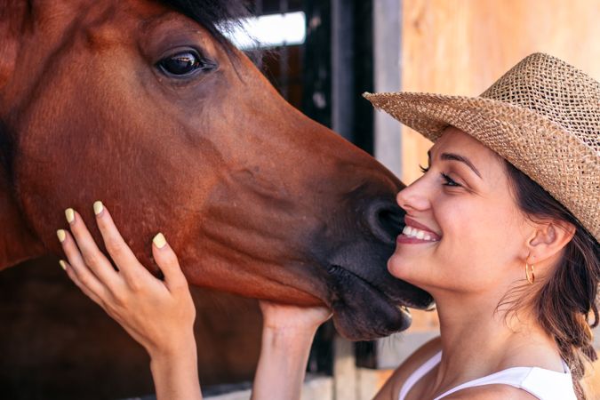 Woman taking care of his brown horse in the stable