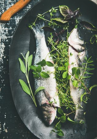 Sea bass with herbs in dark bowl