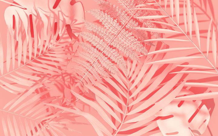 Pink background with pink painted palm and monstera leaves