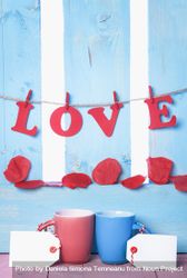 Two mugs with labels and the word love spelled out in paper letters hanging on a fence behind 49Evy4