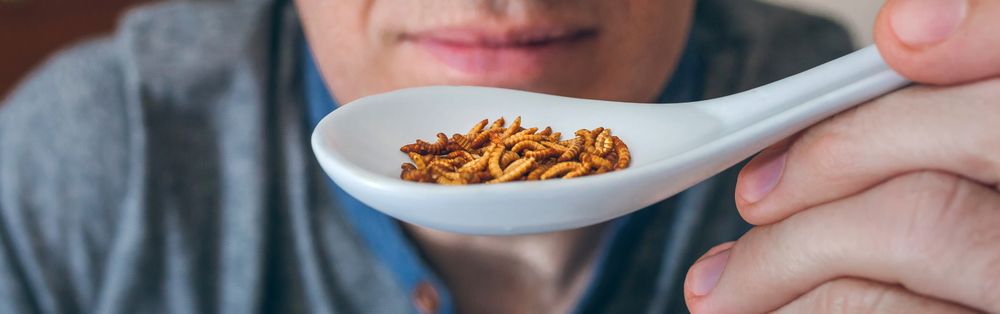 Man showing a spoonful of worms
