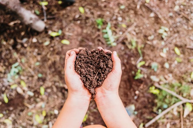 person holding a handful of brown soil