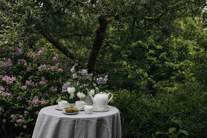 Tea time in the greenery outside