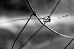 Tense barbed wire