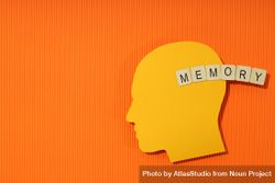 Orange duotone flat lay of head with the word “memory” in wooden blocks, copy space 4mrZWb