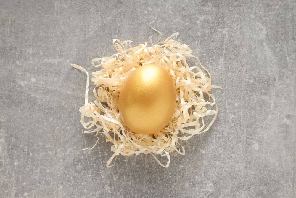 Golden egg, pension savings, investments and retirement