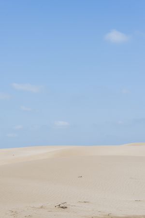 Beautiful sand dunes at dusk against blue sky, vertical