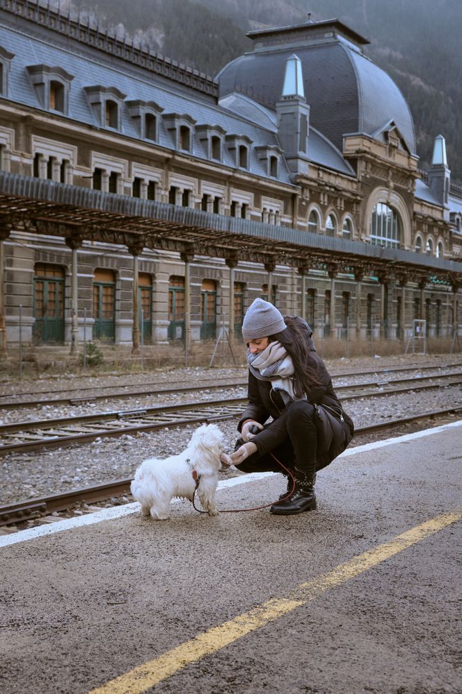 Woman caressing dog at railway platform