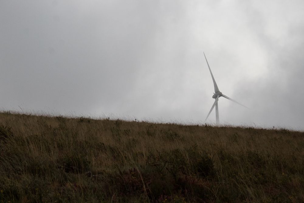 Wind turbine on green grass surrounded by fog