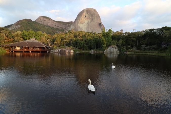 Duck in a river near a wooden house in Pedra Azul, Minas Gerais, Brazil