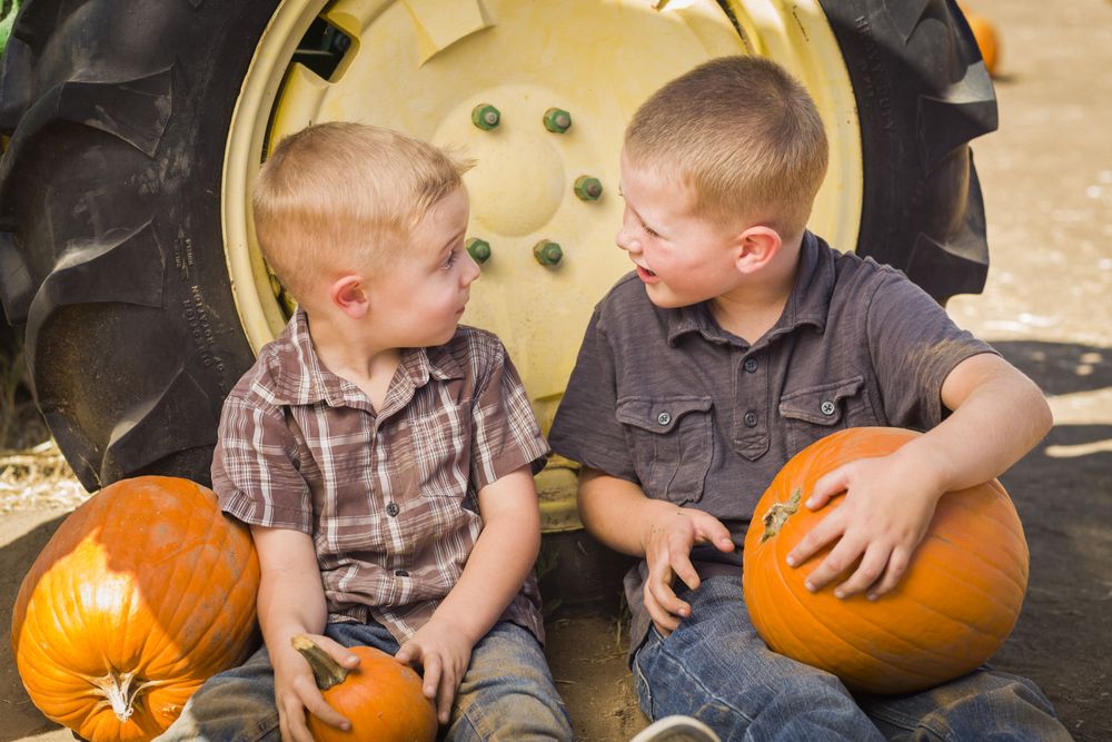 Boys Having Fun at the Pumpkin Patch on a Fall Day.