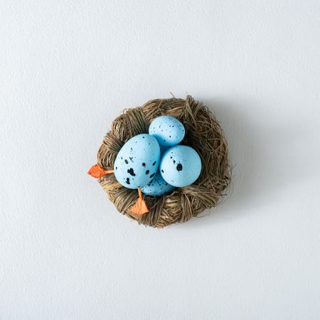 Baby blue Easter eggs in nest