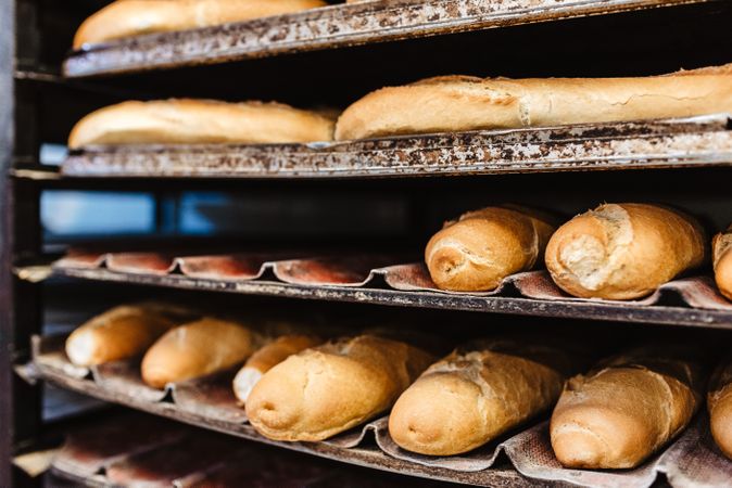 Shelves with fresh bread and buns