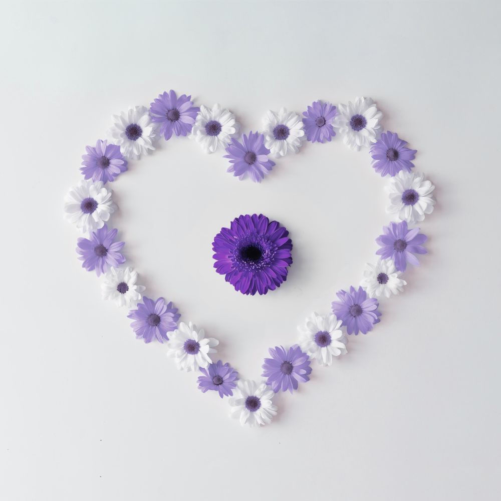 Heart shape made of violet and daisies