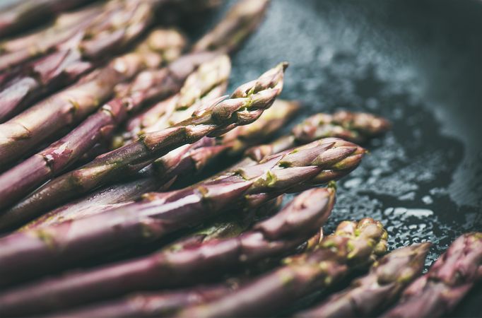 Close up of purple asparagus tips against blue background, horizontal composition