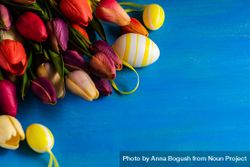 Flat lay of tulip flowers and egg ornaments on blue counter with space for text 5pgP6x