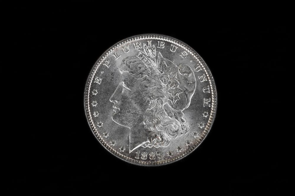 High Quality Silver Dollar