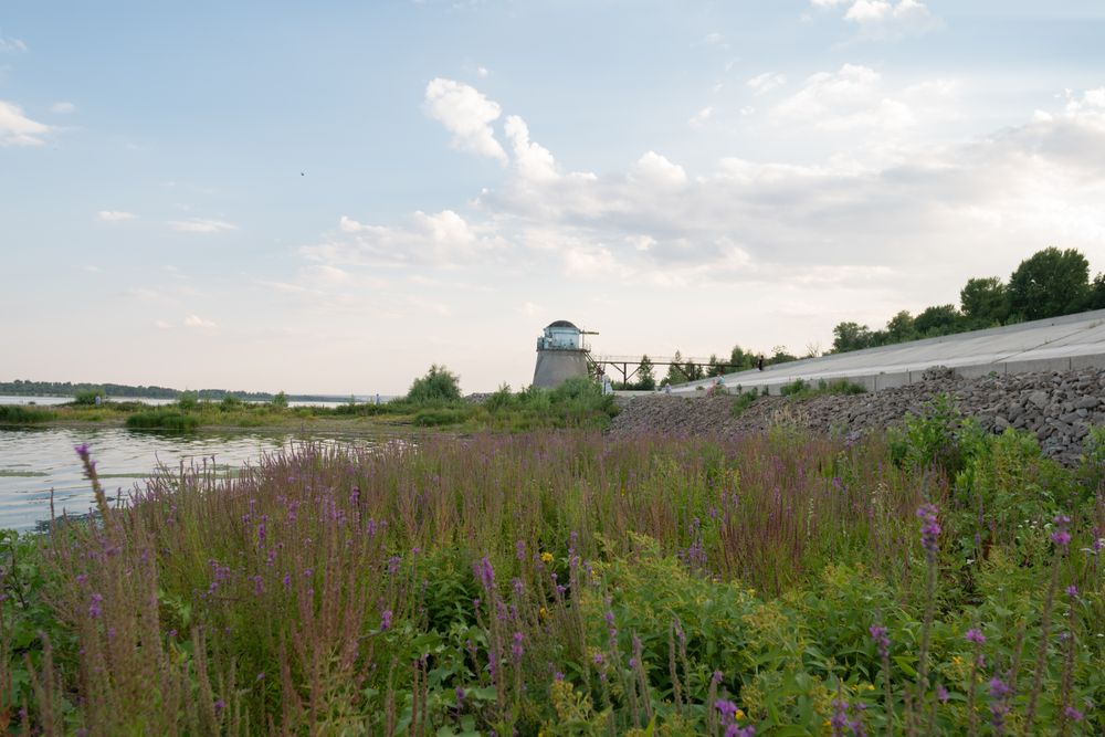 Landscape. Flower meadow on background of lighthouse