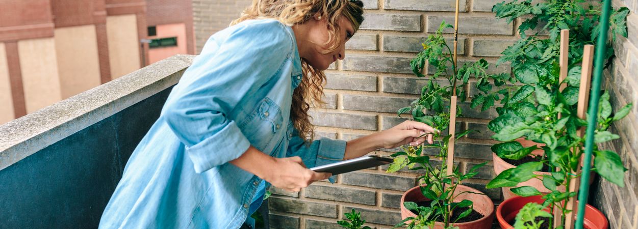 Woman checking plants of urban garden on terrace while holding digital tablet in hand