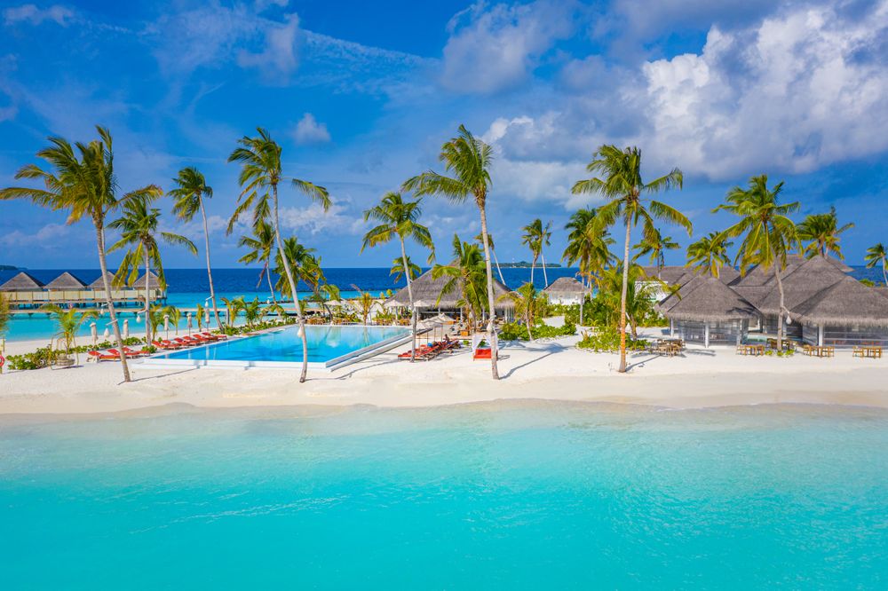Landscape photo of pool surrounded by palm trees on tropical beach resort