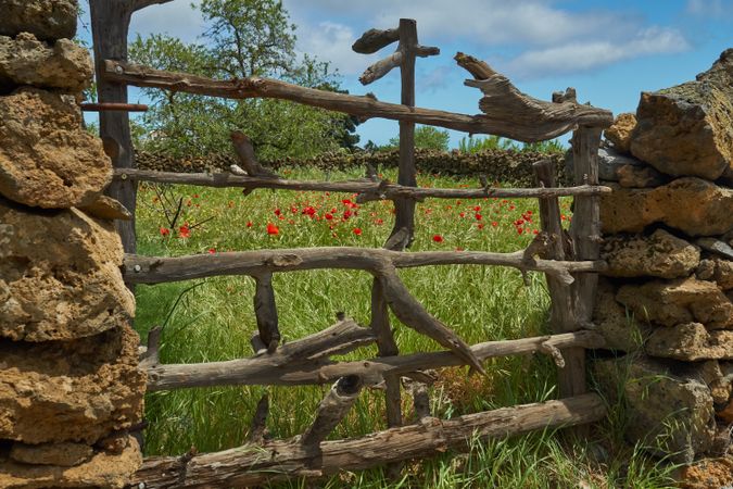 Wooden gates in rural fence
