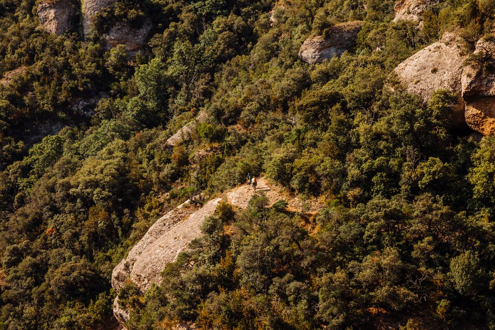 Hikers walking on the mountain