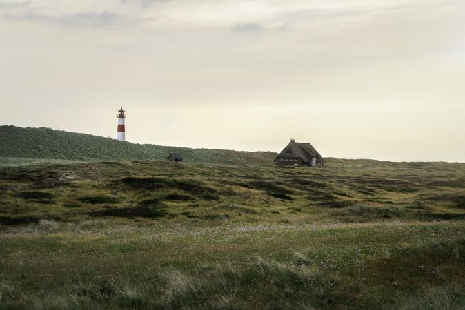 Grassy dunes landscape on Sylt island with a tucked away home