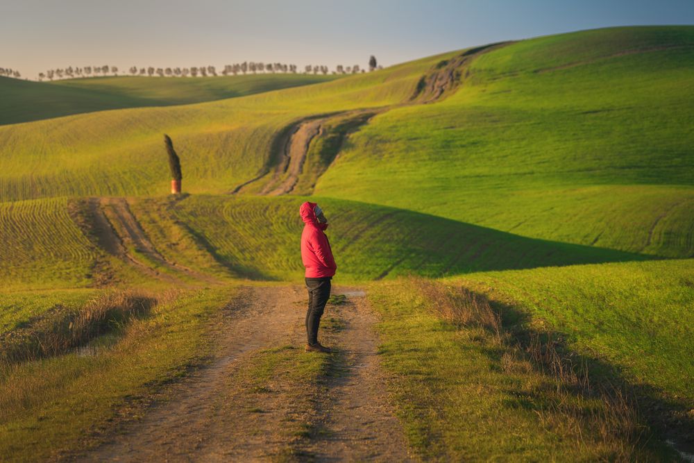 Traveling man walking on green rural road