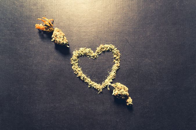 Dried bud in the shape of a heart