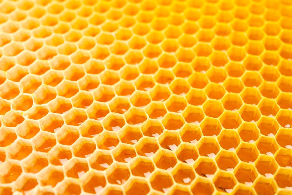 Honeycombs with sweet golden honey on whole background, close up