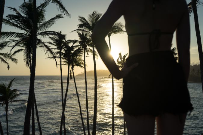 Tranquil female traveler among palms at seashore